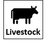 Learn about livestock on the ranch